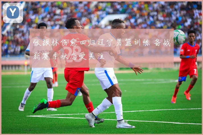 张振林伤愈回归辽宁男篮训练 备战新赛季状态受关注