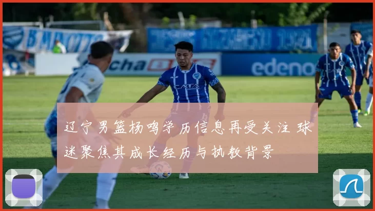 辽宁男篮杨鸣学历信息再受关注 球迷聚焦其成长经历与执教背景